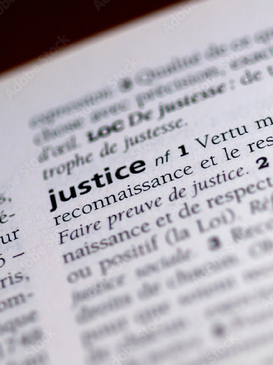 Matières préférentielles de Michelle Habets